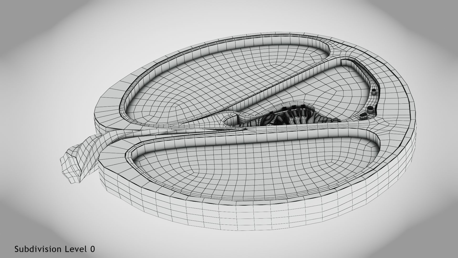 Cochlea cross section 3D model_20