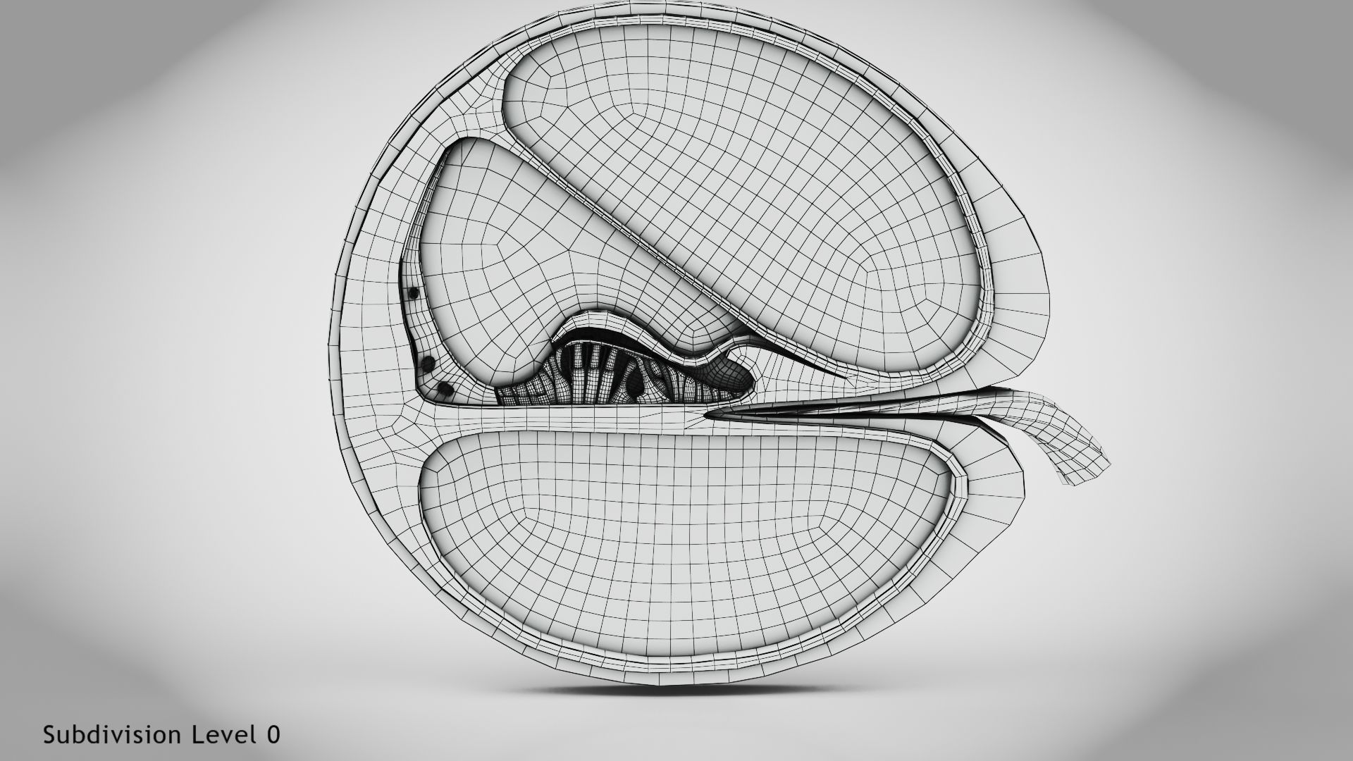 Cochlea cross section 3D model_26