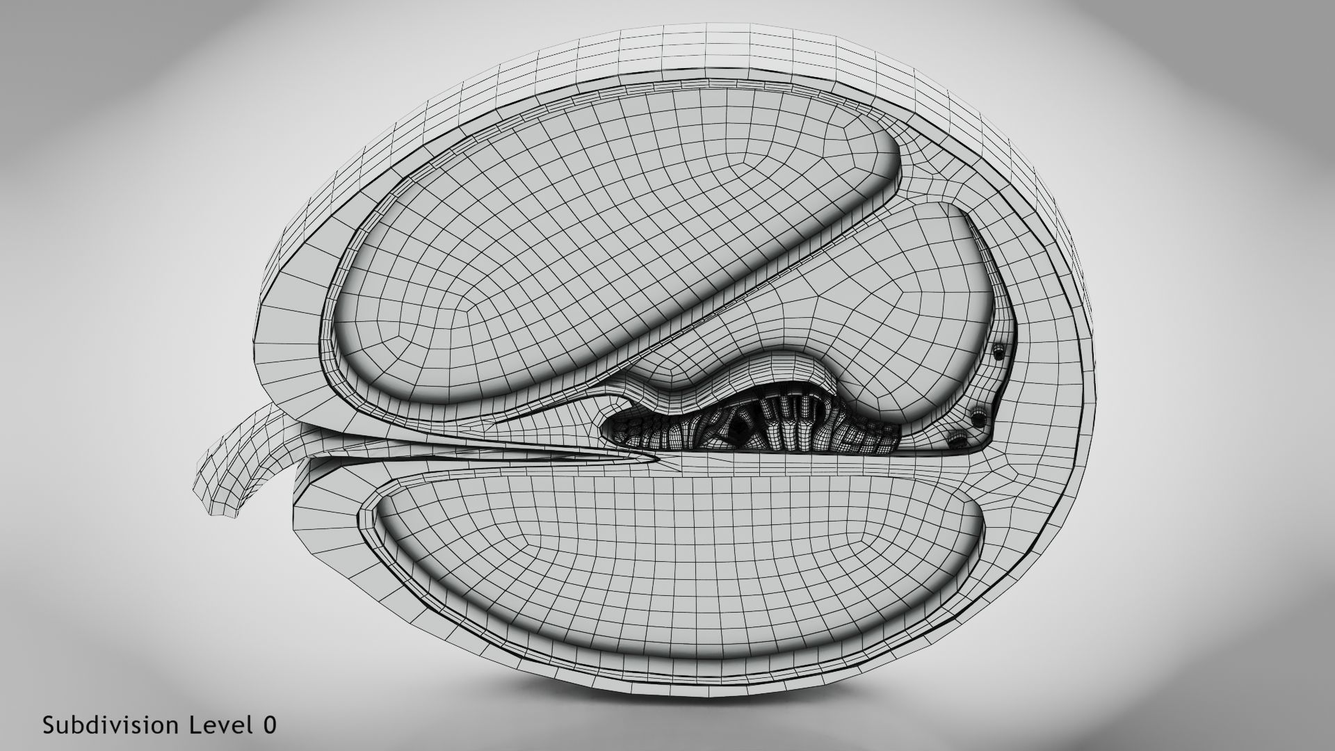 Cochlea cross section 3D model_18