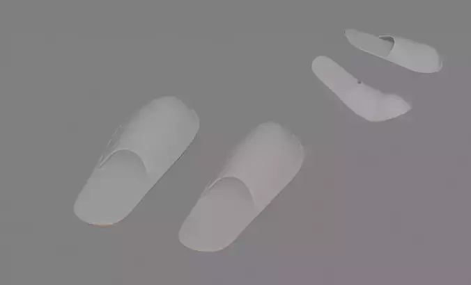 Slippers 3D model