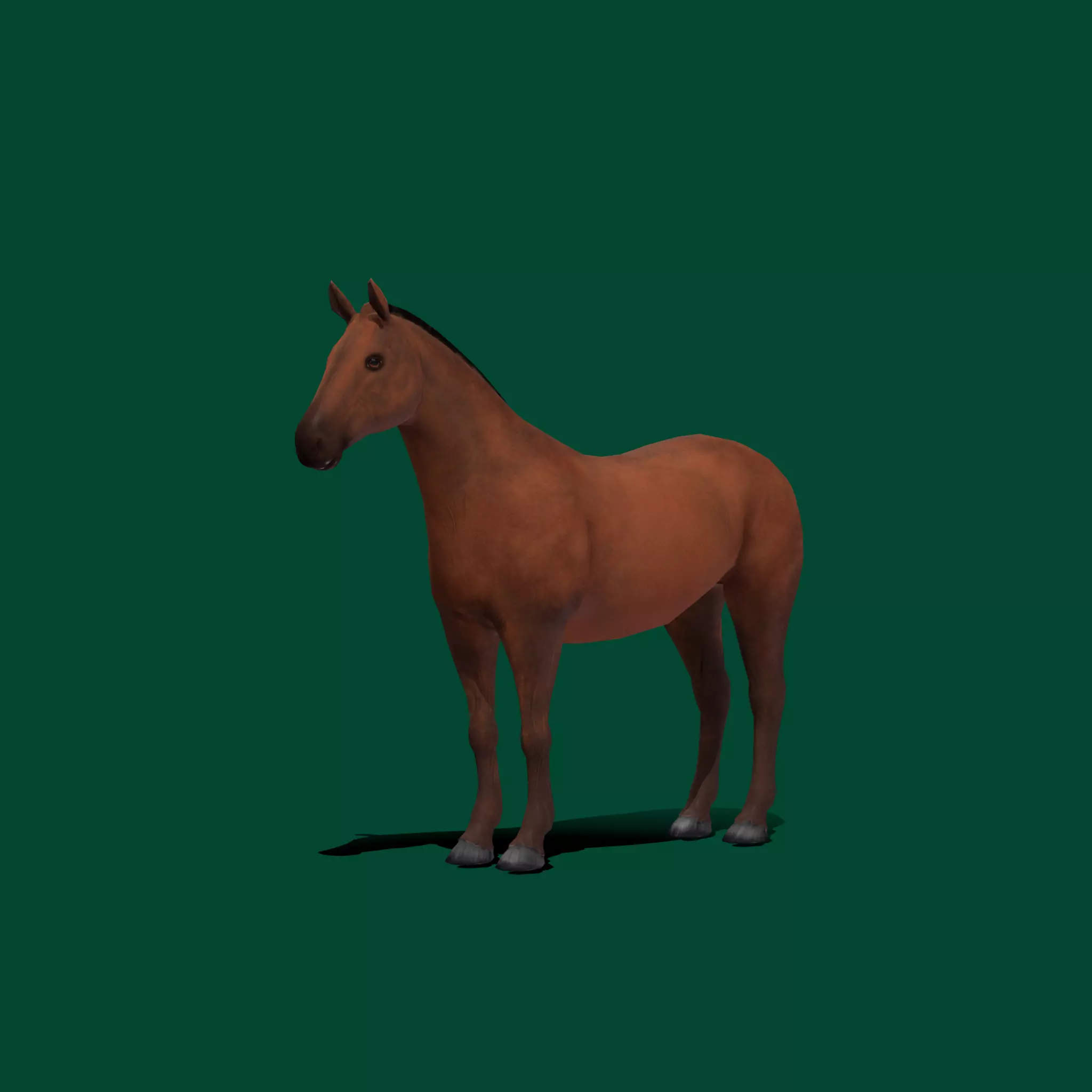 American Quarter Horse Animal Low-poly 3D model