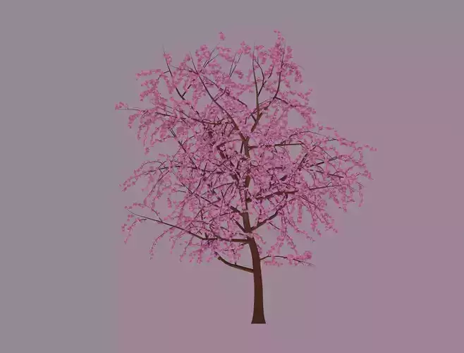 Blossom Tree 3D model