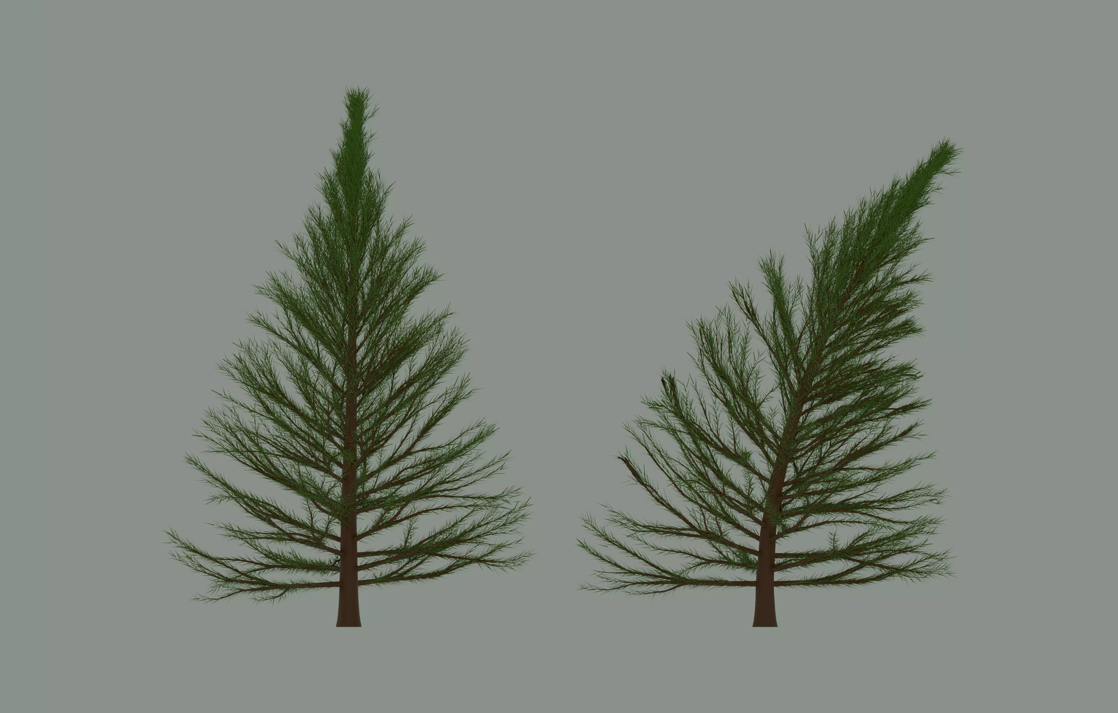 Pine Tree 3D model