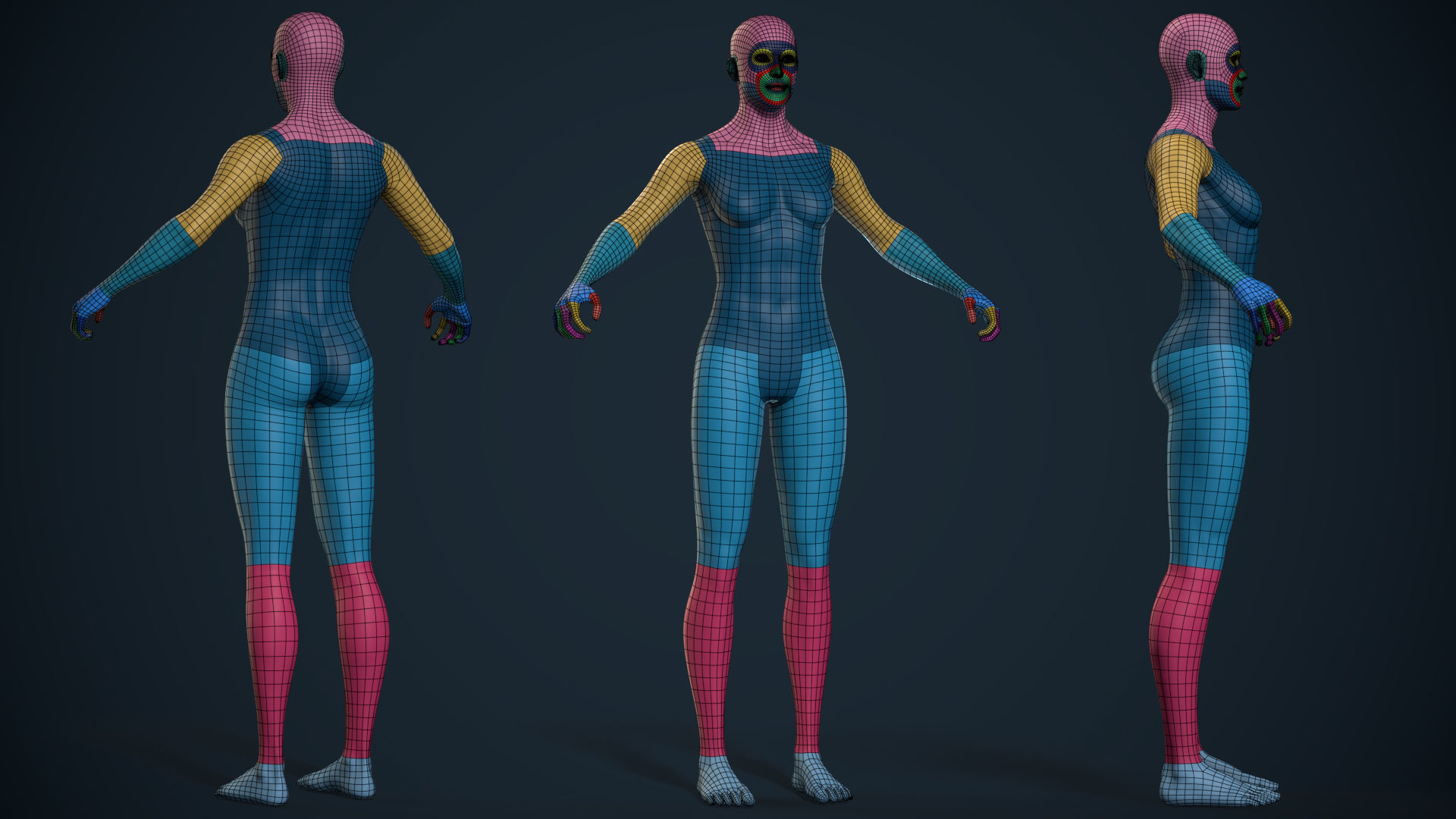 Male And Female Basemesh - Game Ready Low-poly 3D model_13