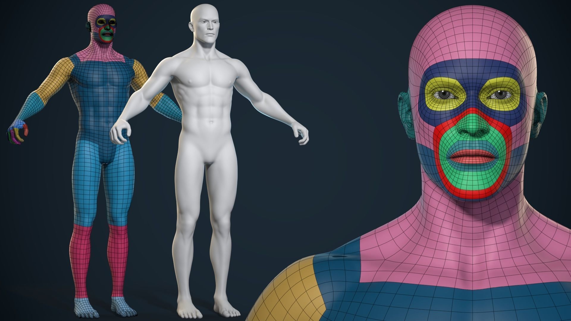 Male And Female Basemesh - Game Ready Low-poly 3D model_1