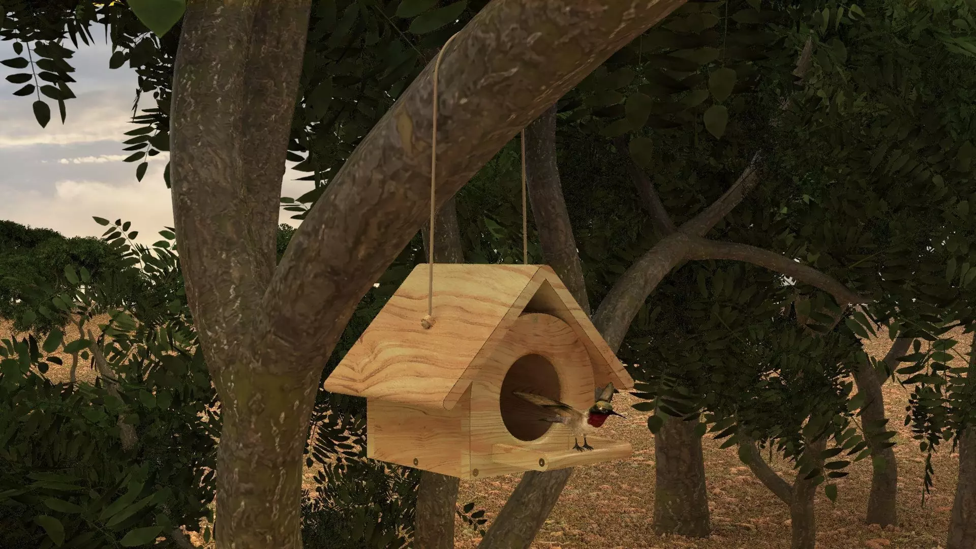 Bird House in Forest 3D model_0