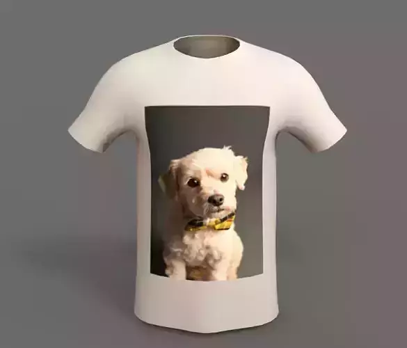 The Tshirt 3D model