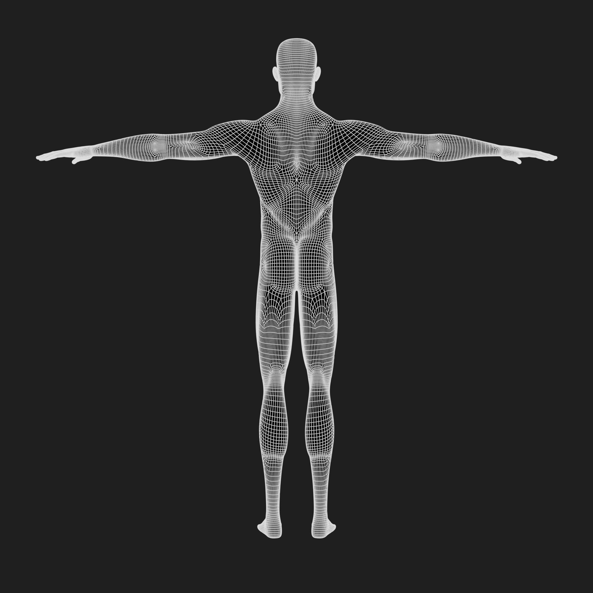 Jacob cartoon male character with muscular body 3D model_63