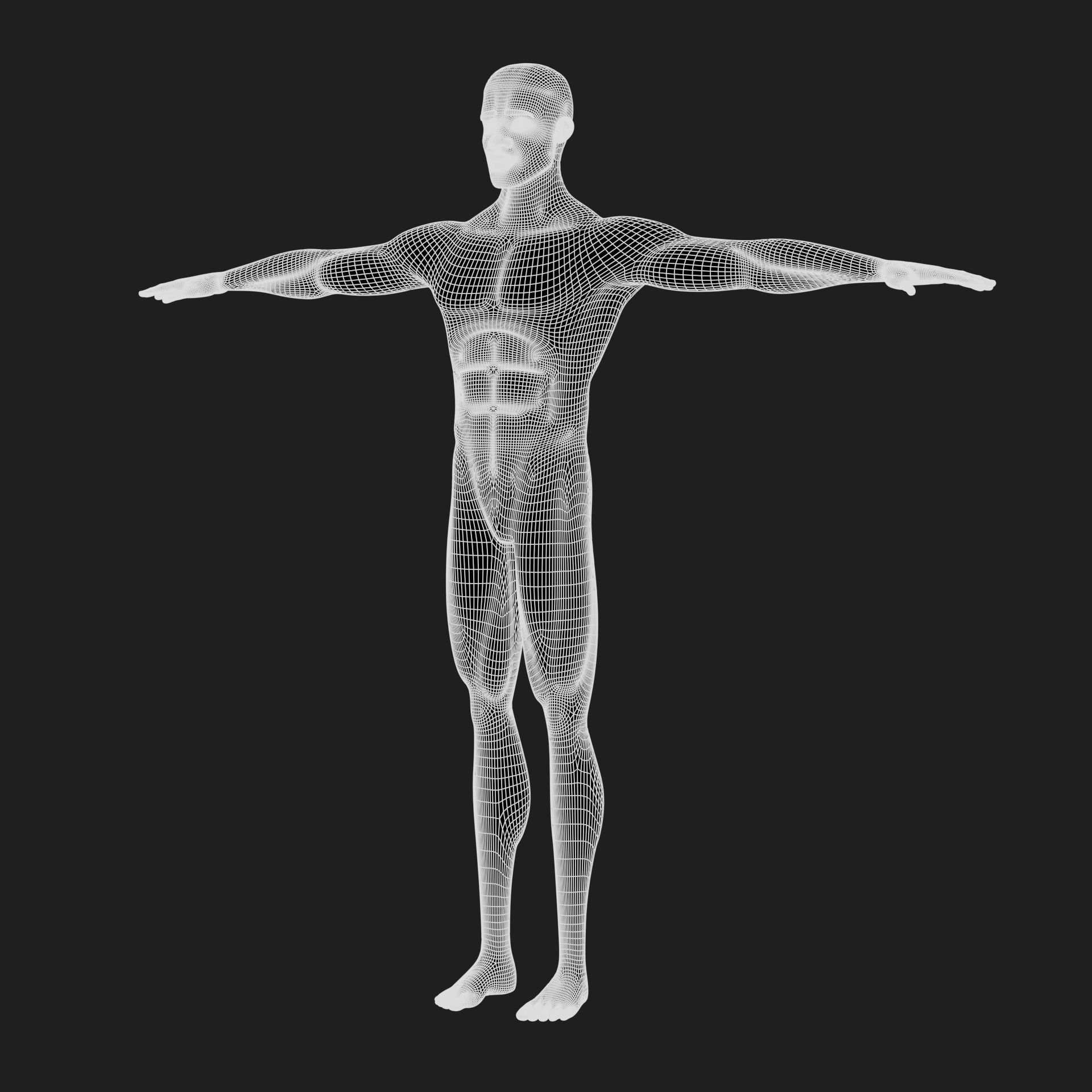 Jacob cartoon male character with muscular body 3D model_60