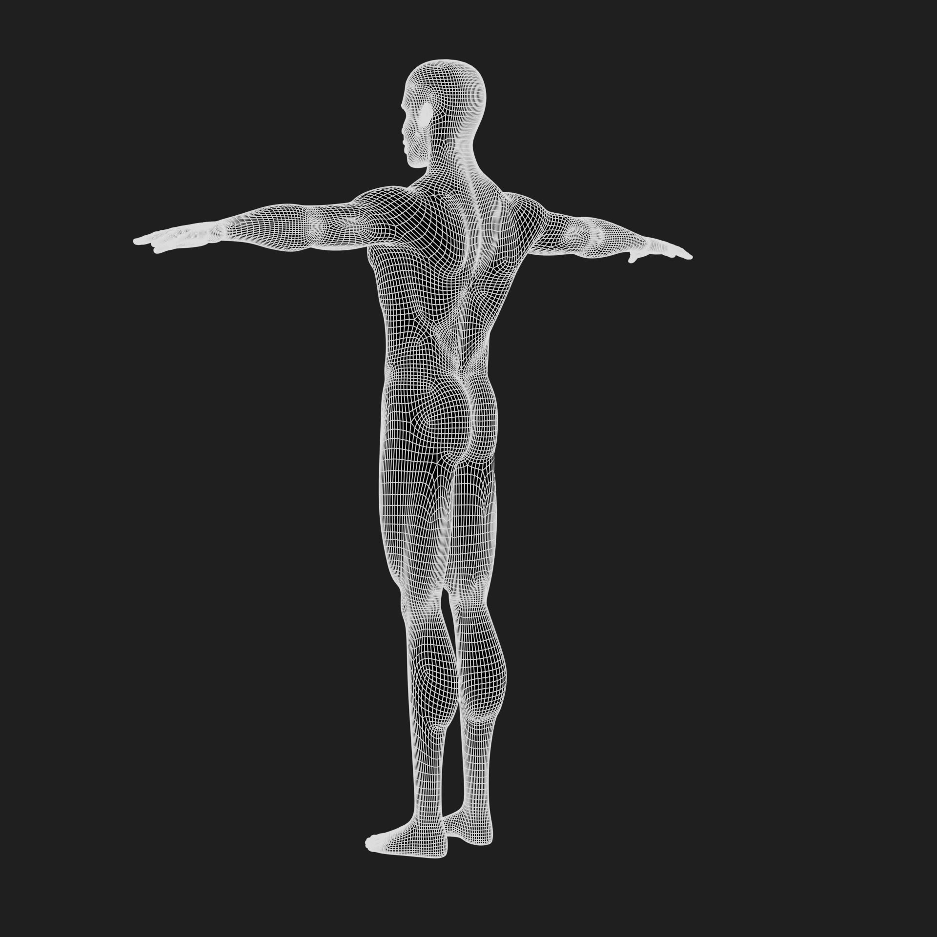 Jacob cartoon male character with muscular body 3D model_62