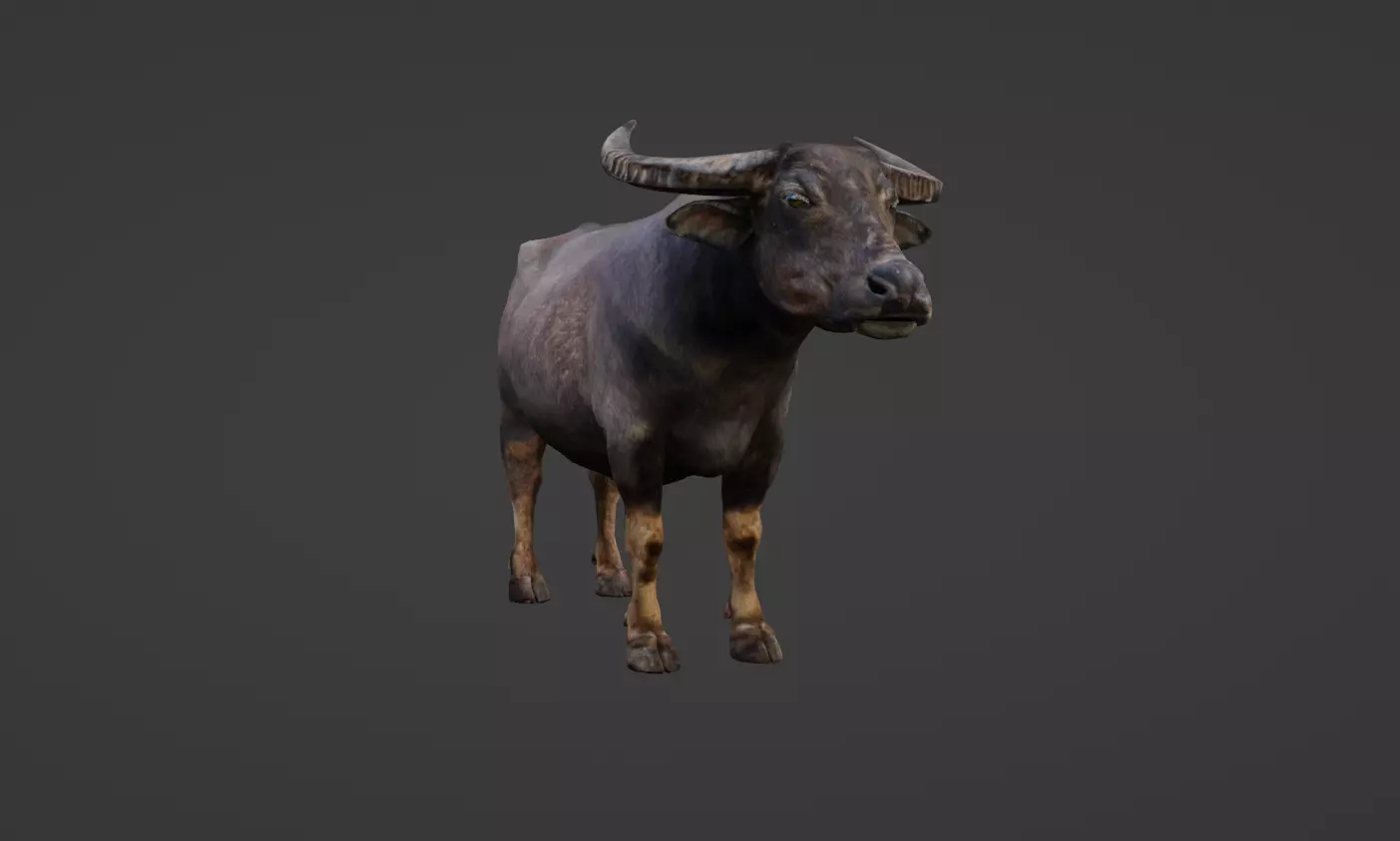 Buffalo Low-poly 3D model_0