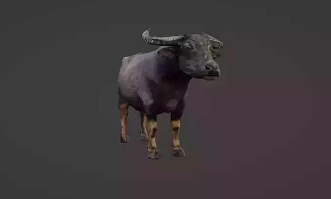 Buffalo Low-poly 3D model