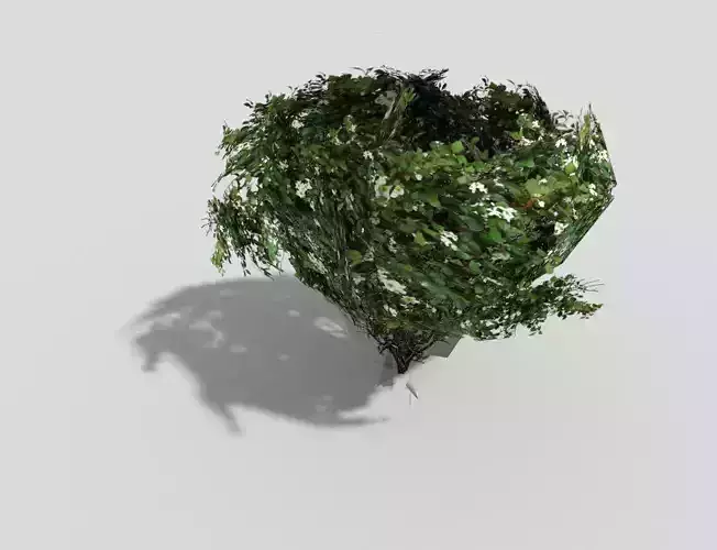 low poly shrub tree in shape of heart