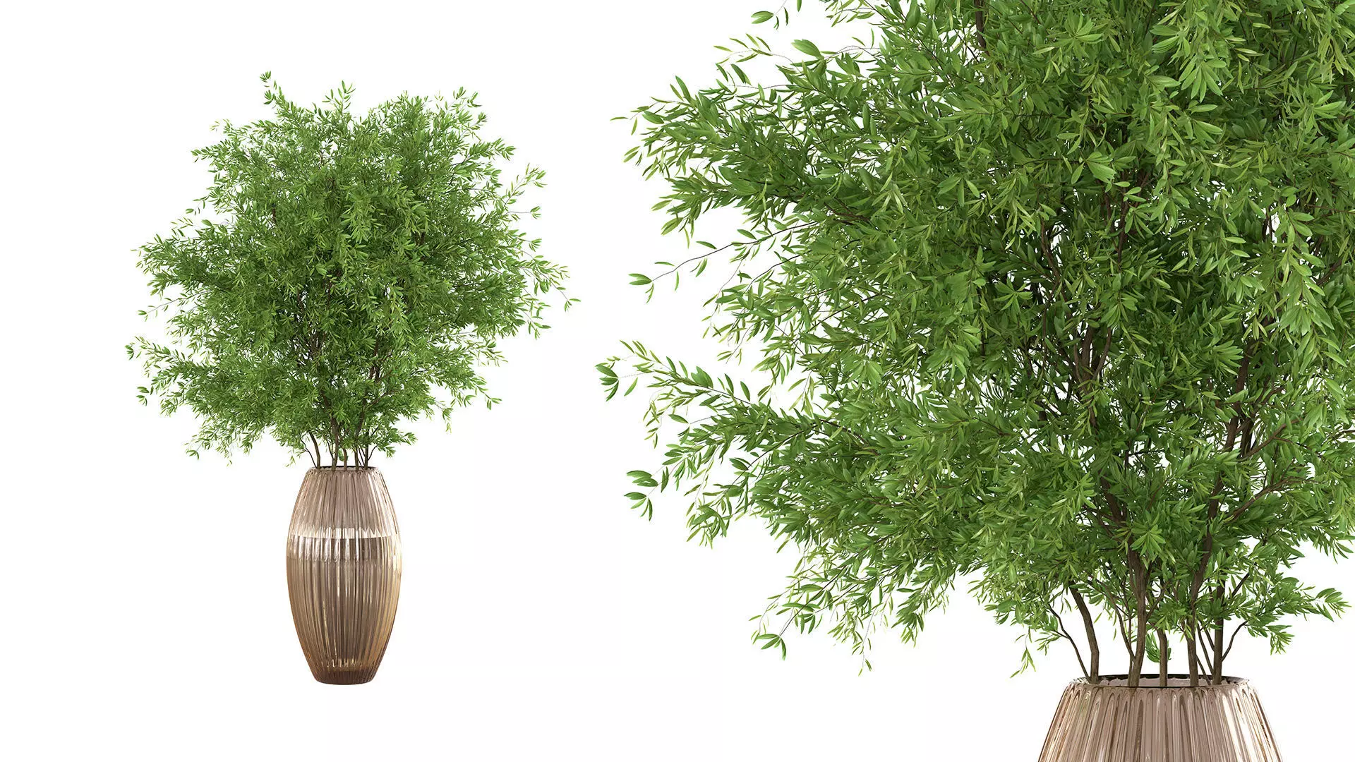 Bouquet - Green plant 01 3D model_0