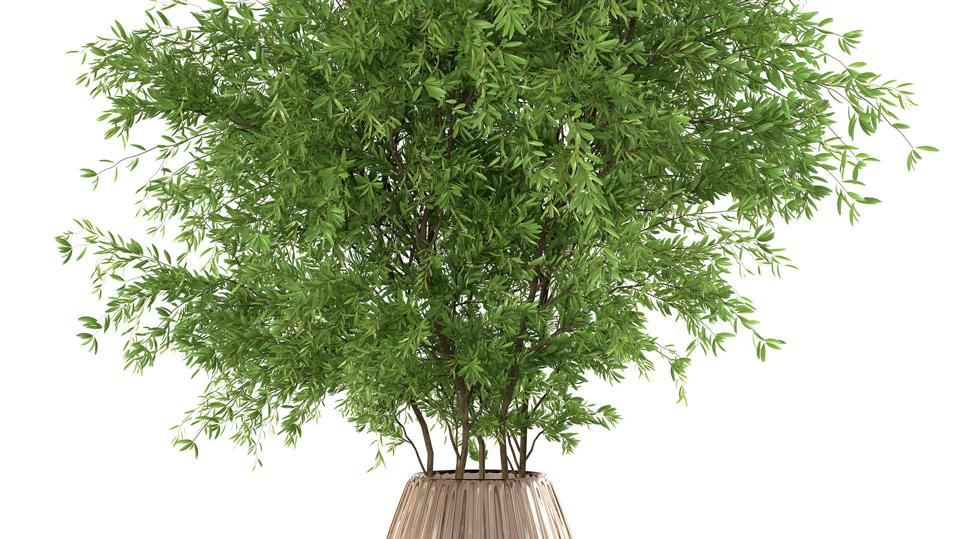 Bouquet - Green plant 01 3D model_2