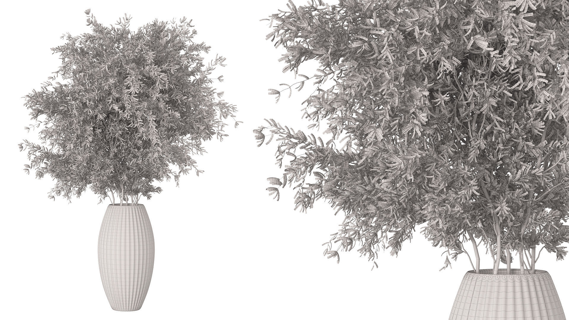 Bouquet - Green plant 01 3D model_4