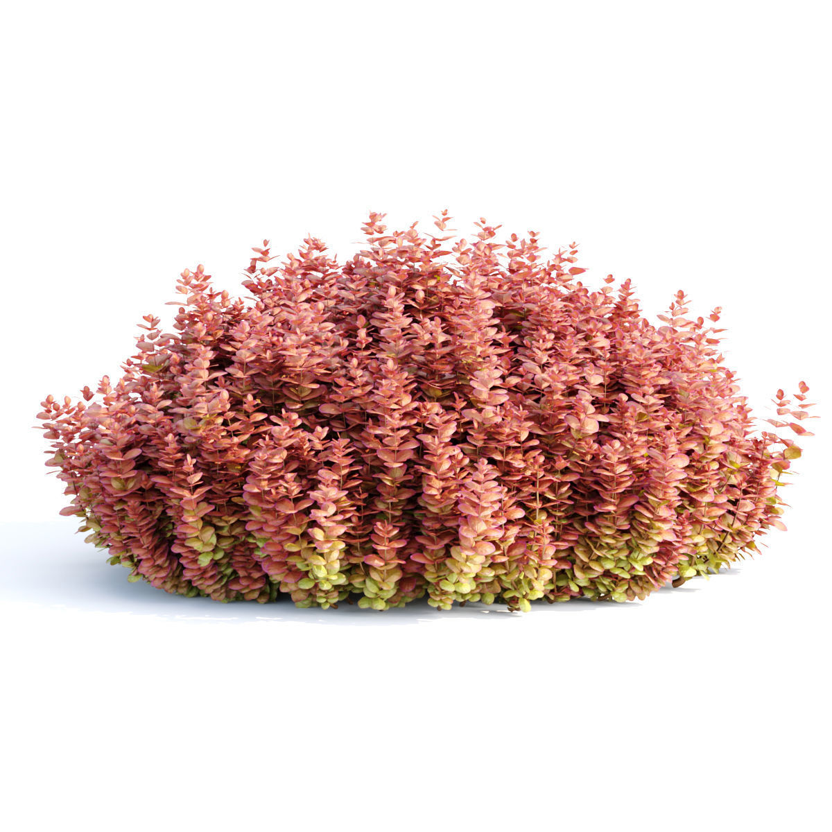 15 Bush models collection vol 15 _15