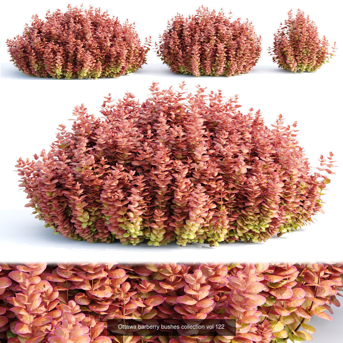 15 Bush models collection vol 15 _12