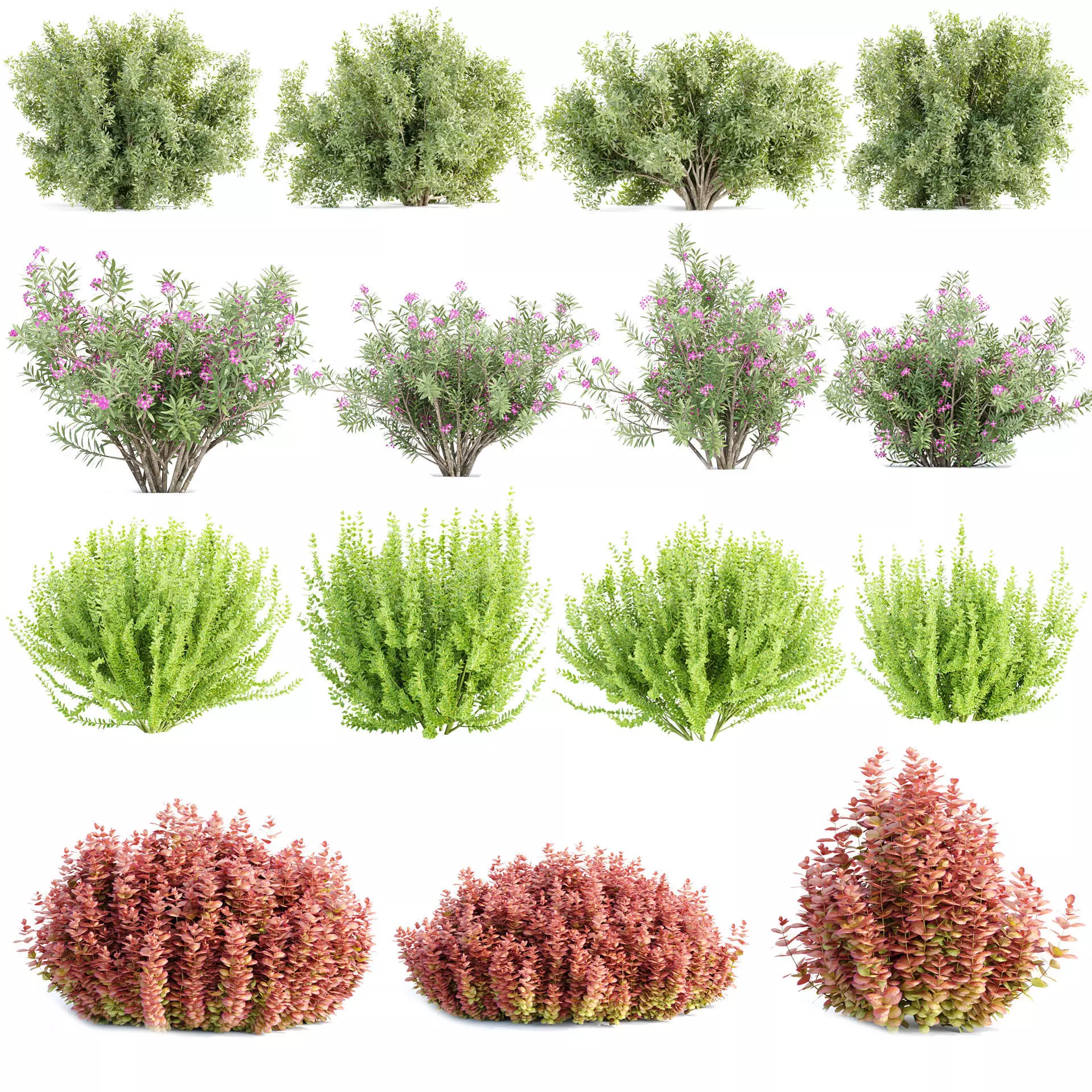 15 Bush models collection vol 15 _0