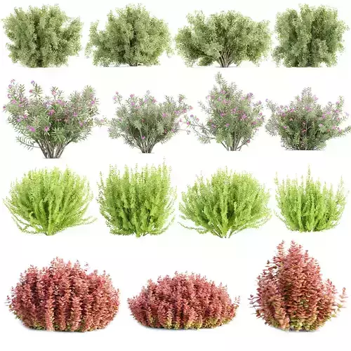 15 Bush models collection vol 15 
