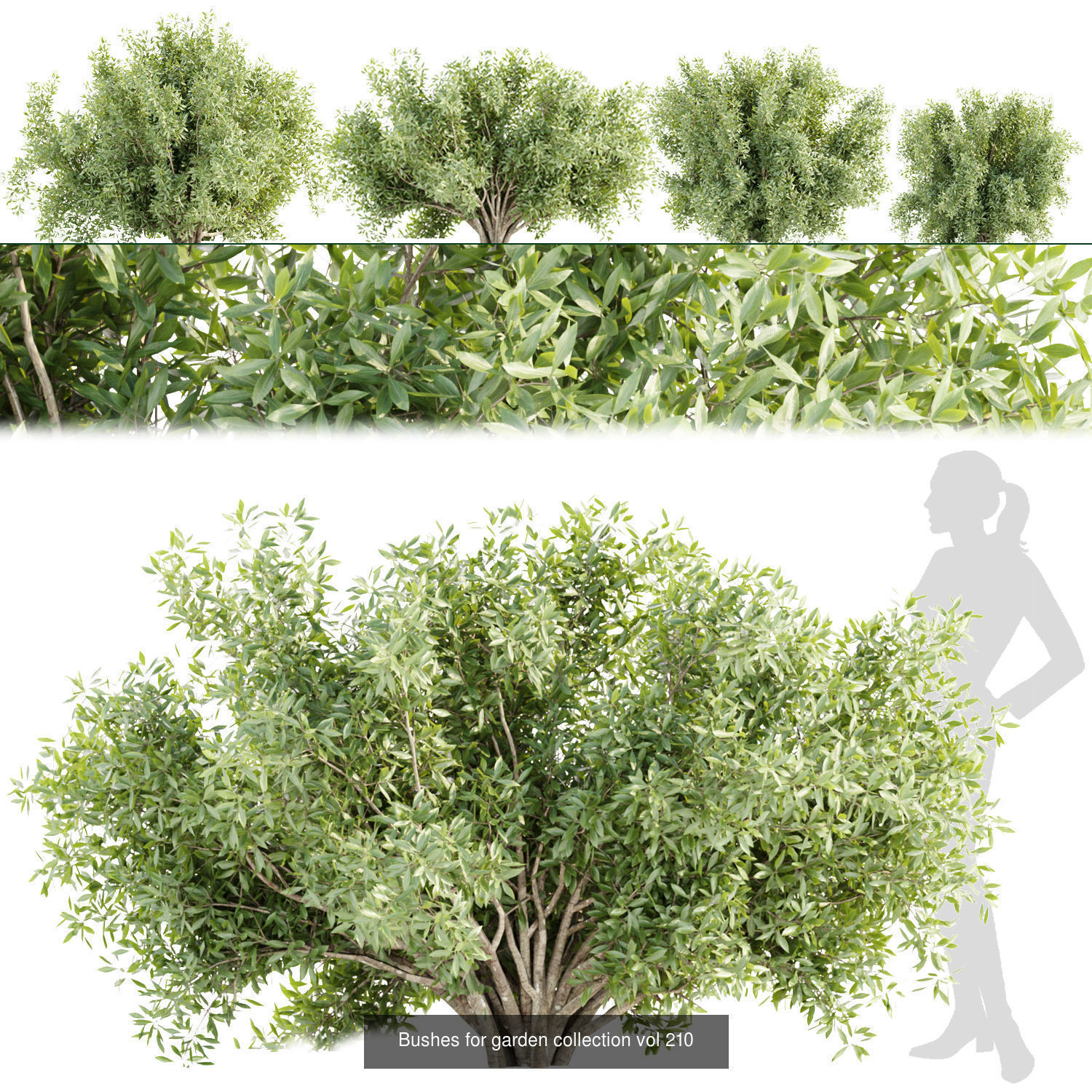 15 Bush models collection vol 15 _6