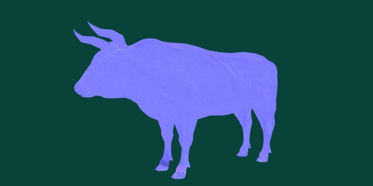 Spanish Bull Cattle Animal Low-poly 3D model_19