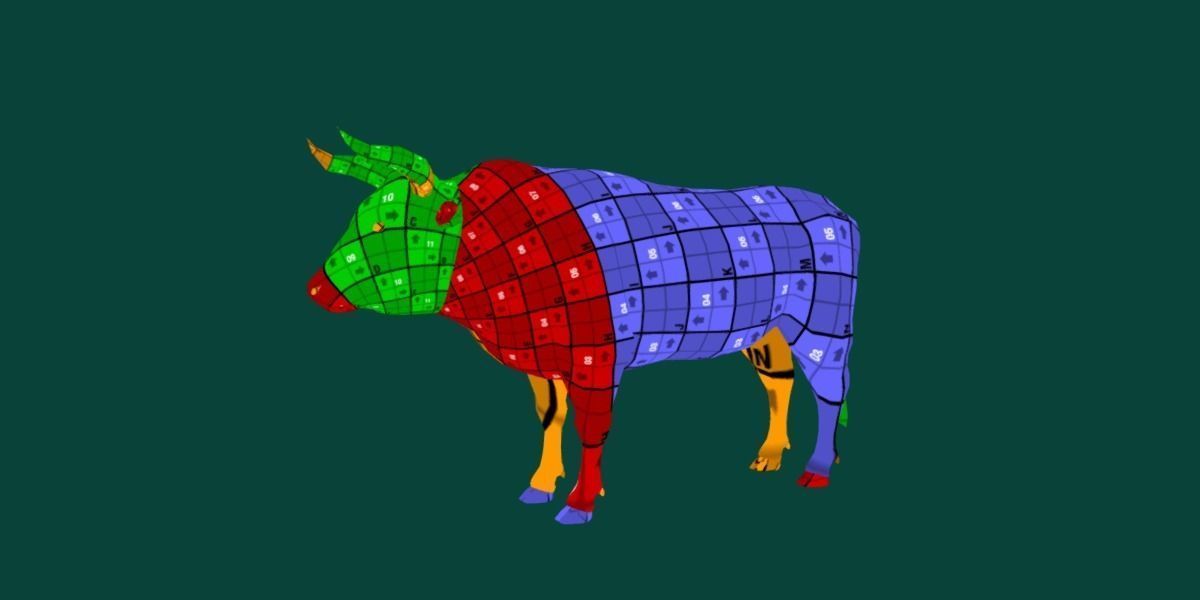 Spanish Bull Cattle Animal Low-poly 3D model_8