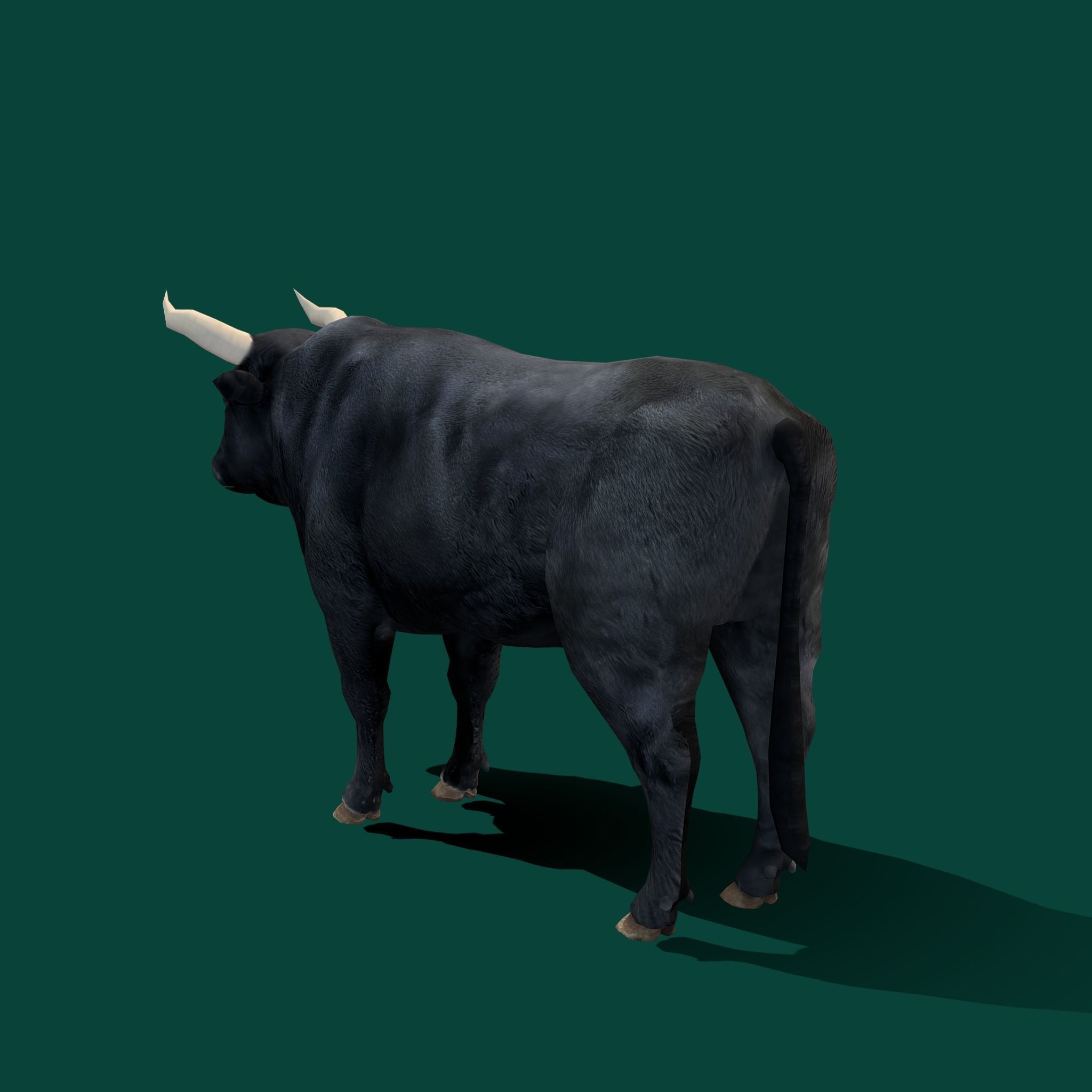 Spanish Bull Cattle Animal Low-poly 3D model_13