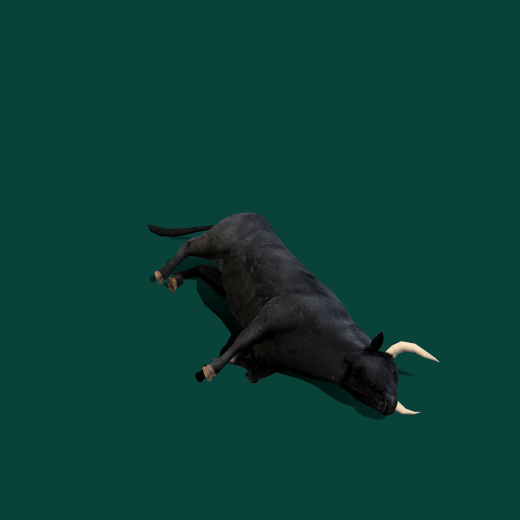 Spanish Bull Cattle Animal Low-poly 3D model_15