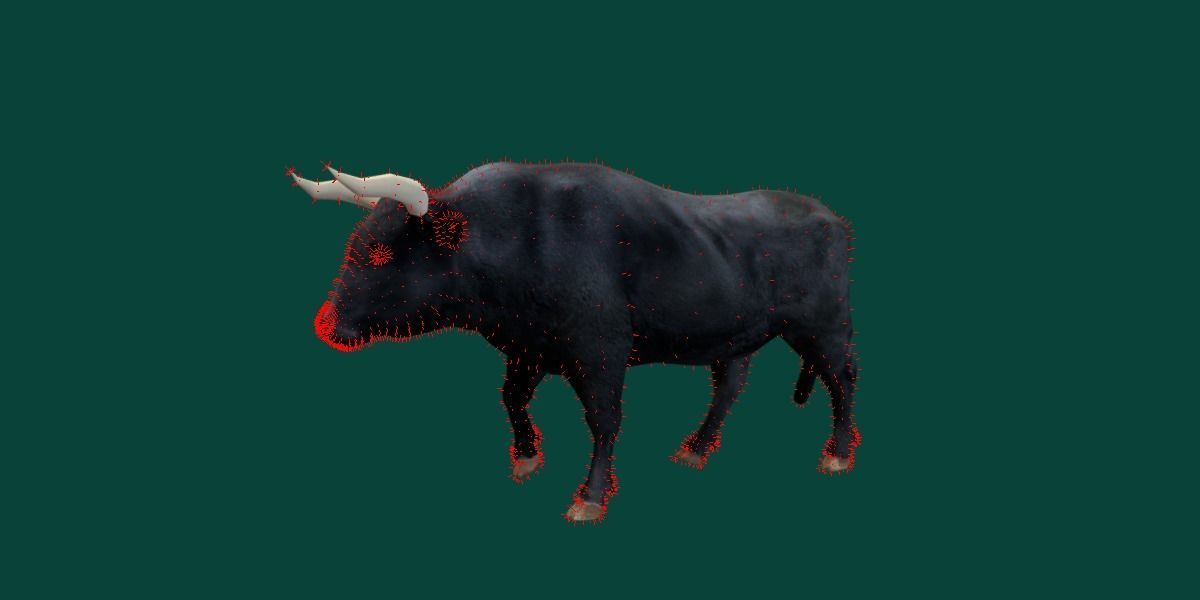 Spanish Bull Cattle Animal Low-poly 3D model_6