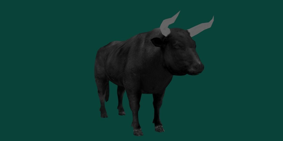 Spanish Bull Cattle Animal Low-poly 3D model_21