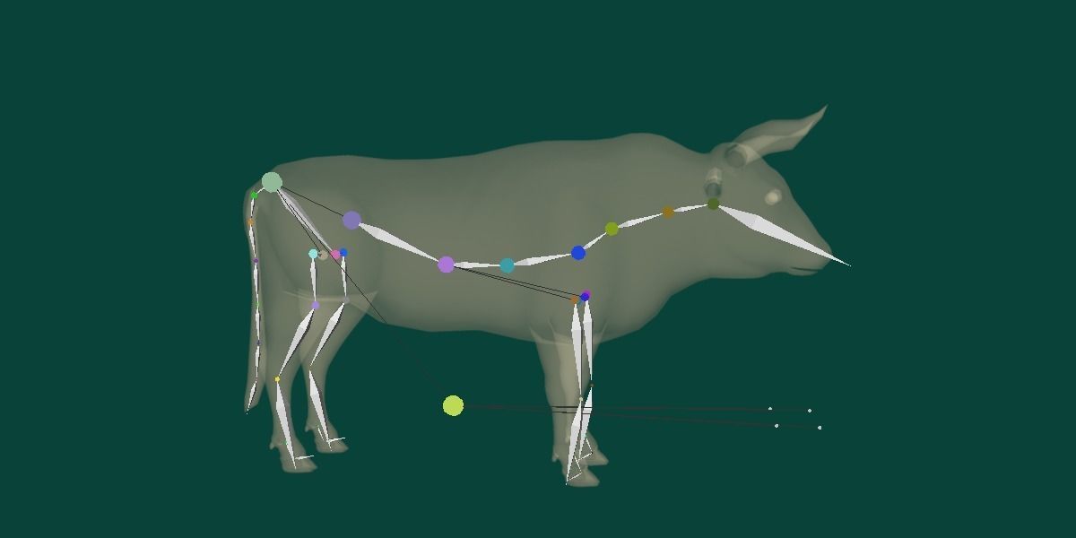 Spanish Bull Cattle Animal Low-poly 3D model_16