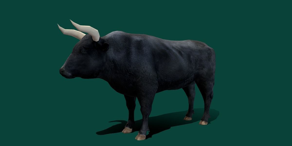 Spanish Bull Cattle Animal Low-poly 3D model_23