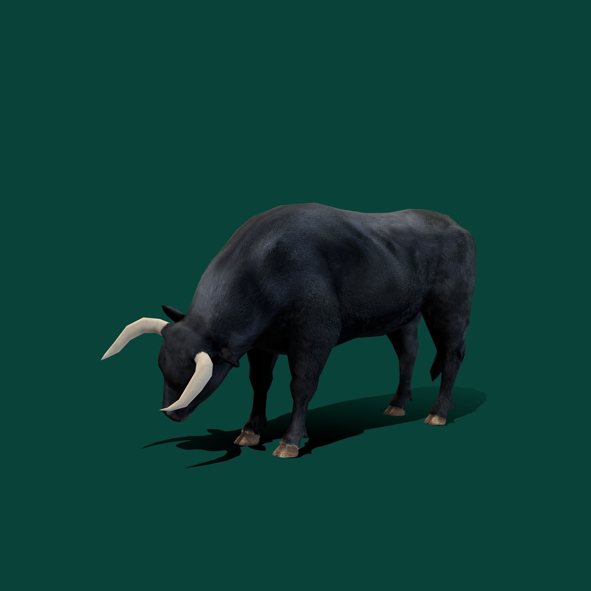 Spanish Bull Cattle Animal Low-poly 3D model_12