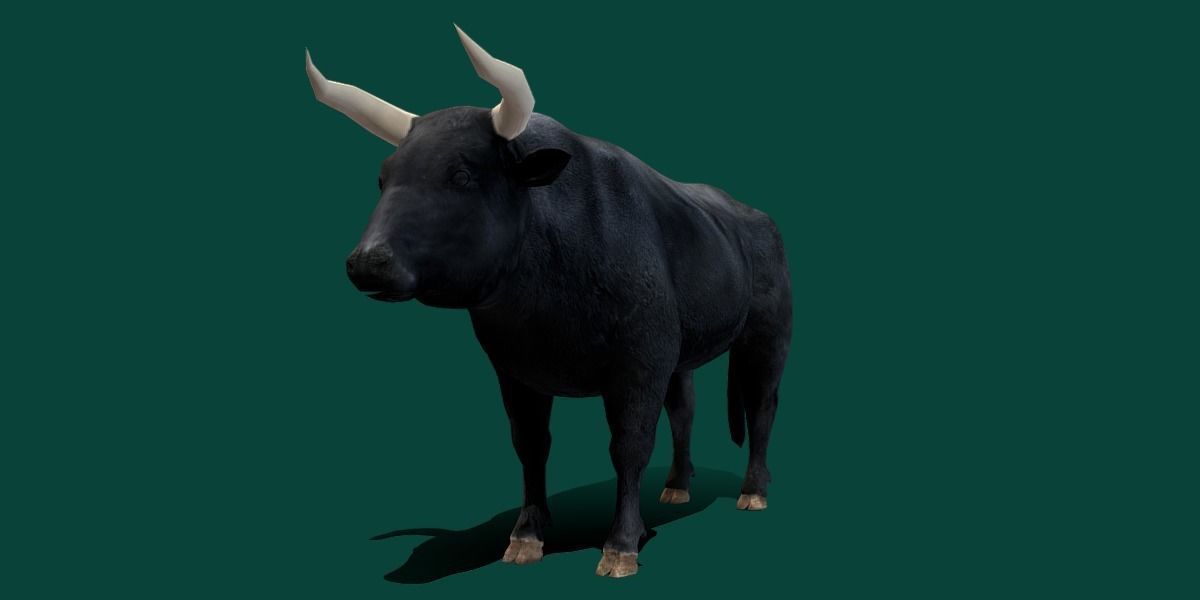 Spanish Bull Cattle Animal Low-poly 3D model_18