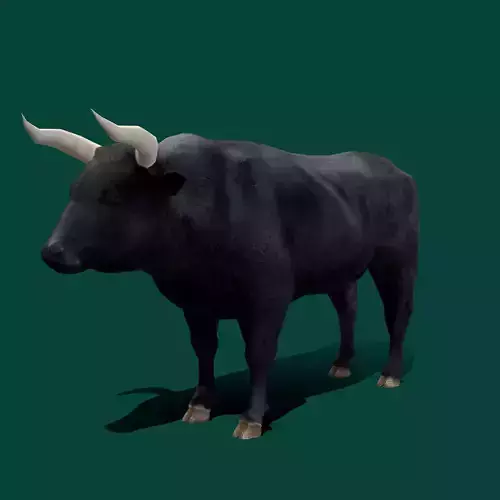Spanish Bull Cattle Animal Low-poly 3D model