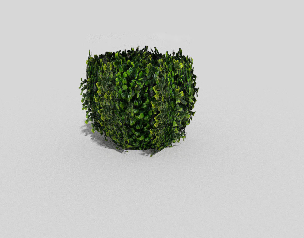 low poly shrub bush Low-poly 3D model_4