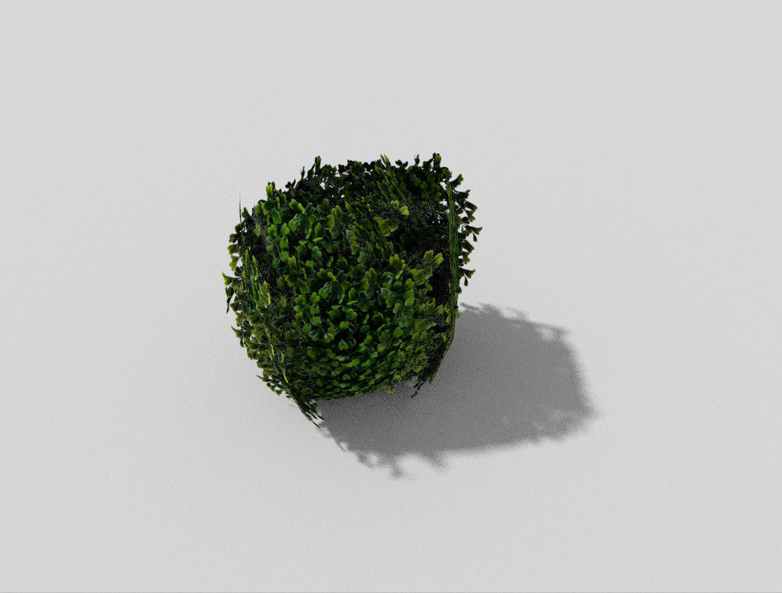 low poly shrub bush Low-poly 3D model_1
