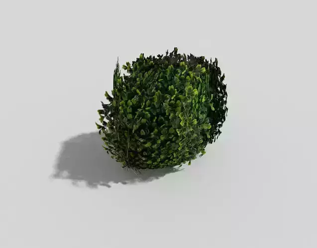 low poly shrub bush