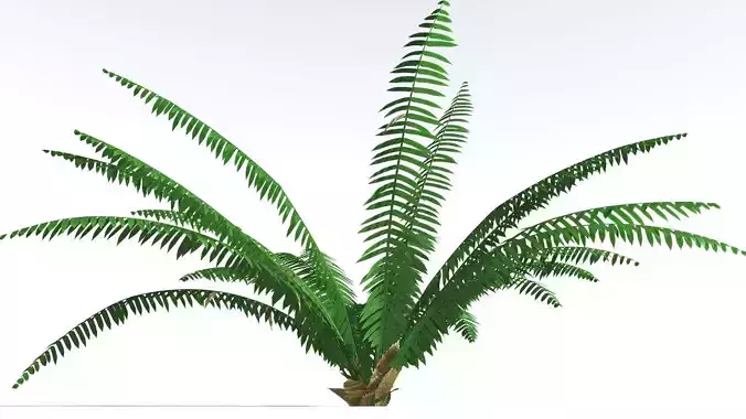 EVERYPlant Basket Fern 1 --14 Models-- 3D model