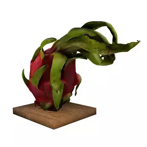 DRAGON FRUIT