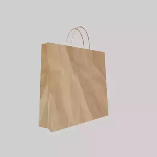 Paper Bag