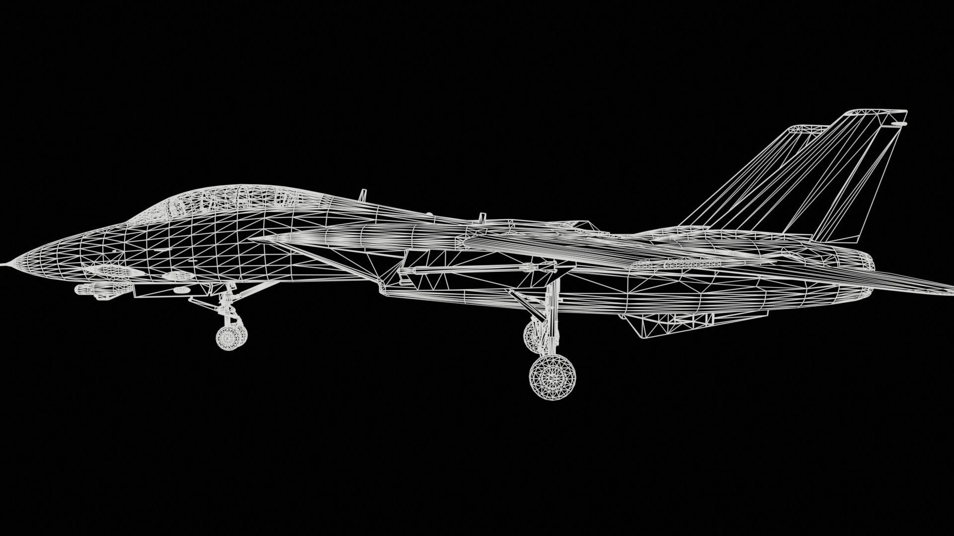 Grumman F-14 Tomcat 3D model_11