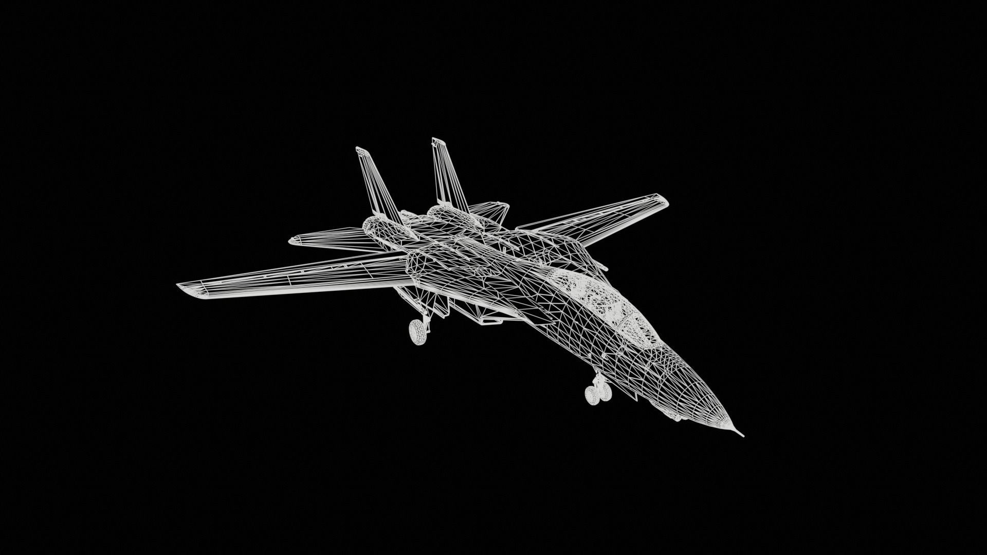 Grumman F-14 Tomcat 3D model_9