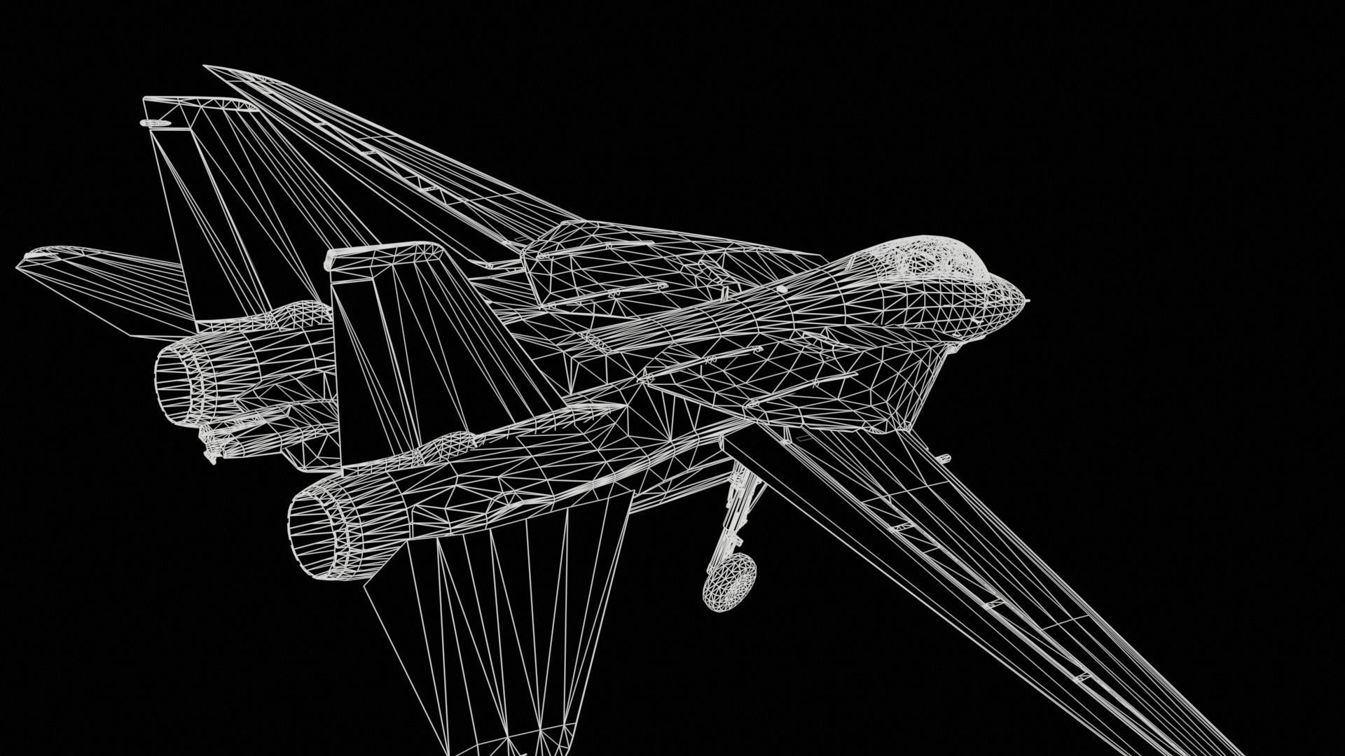 Grumman F-14 Tomcat 3D model_14