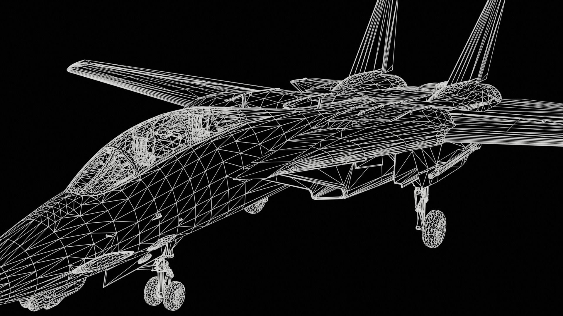 Grumman F-14 Tomcat 3D model_8