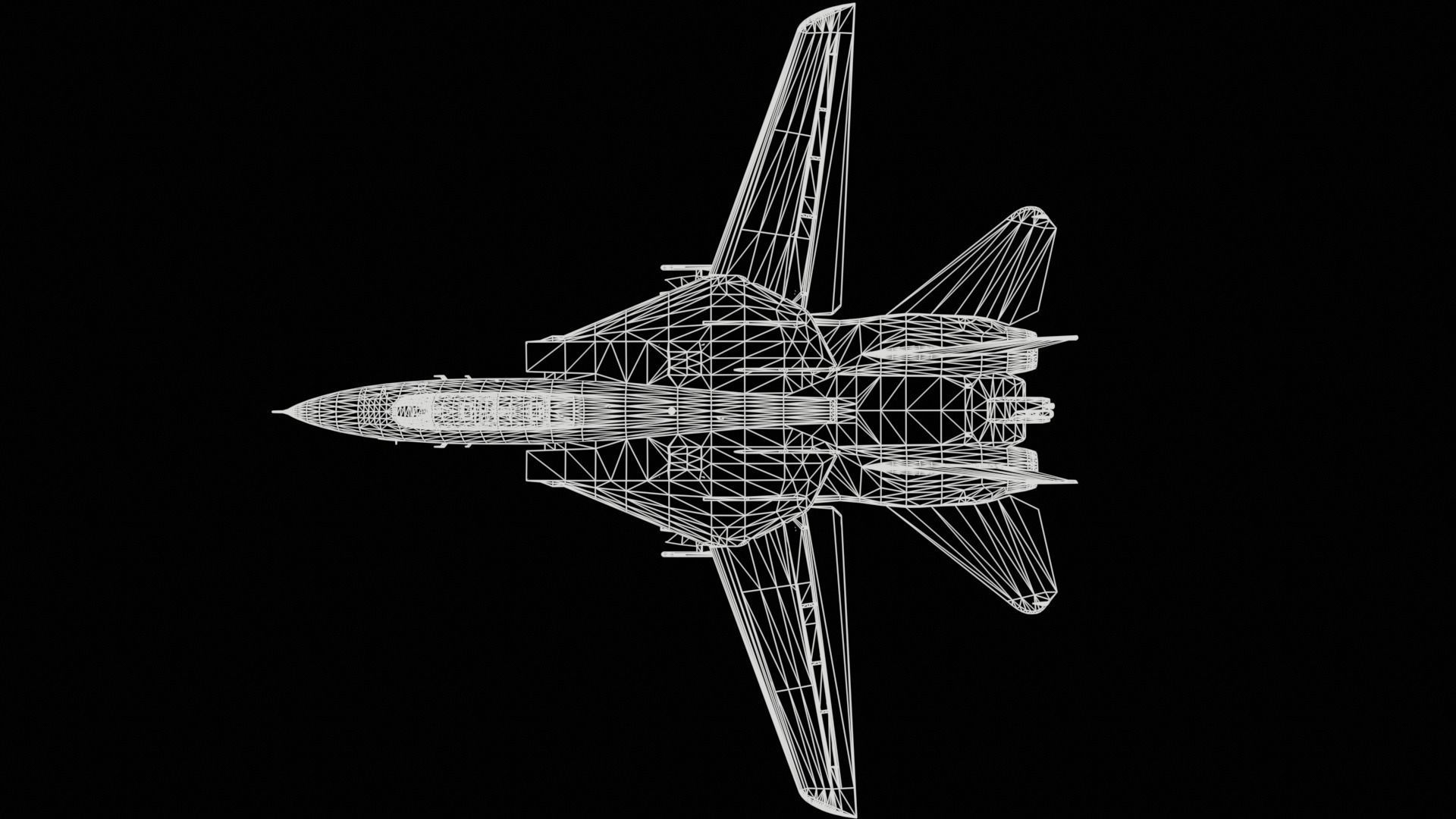 Grumman F-14 Tomcat 3D model_12
