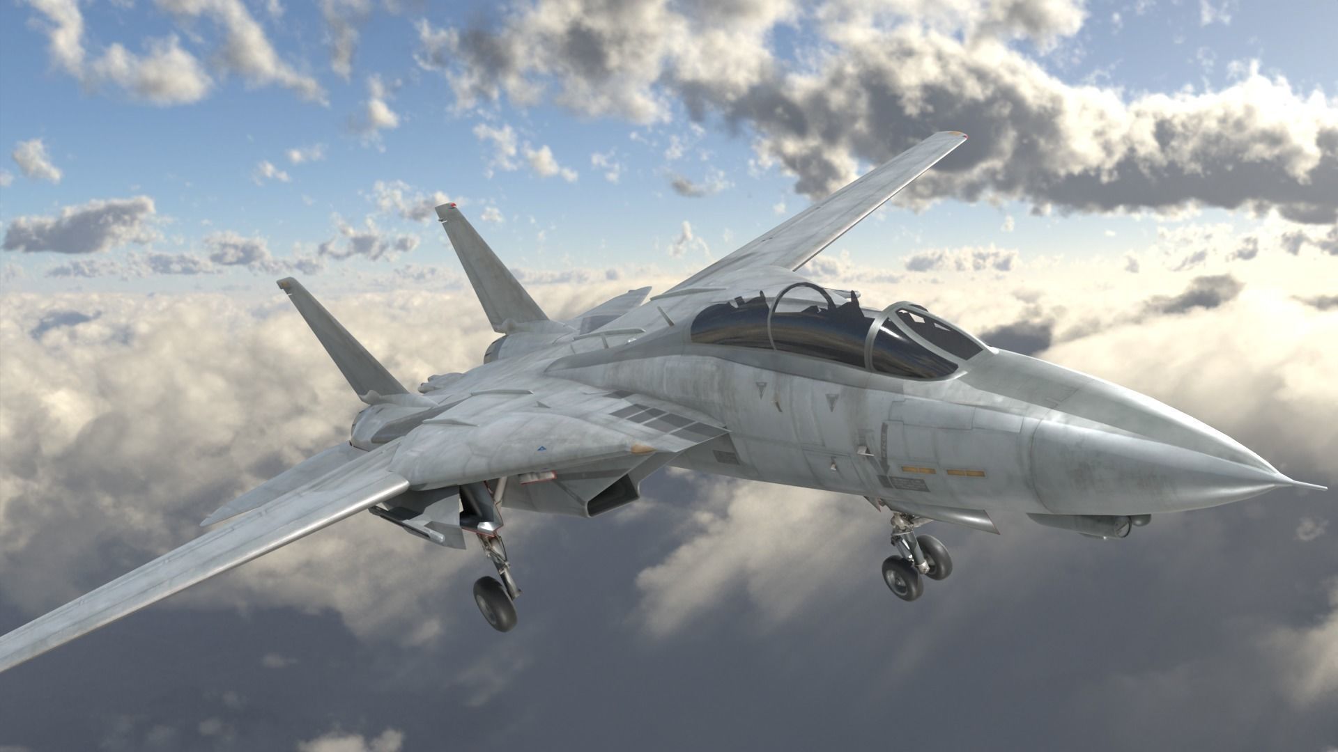 Grumman F-14 Tomcat 3D model_1