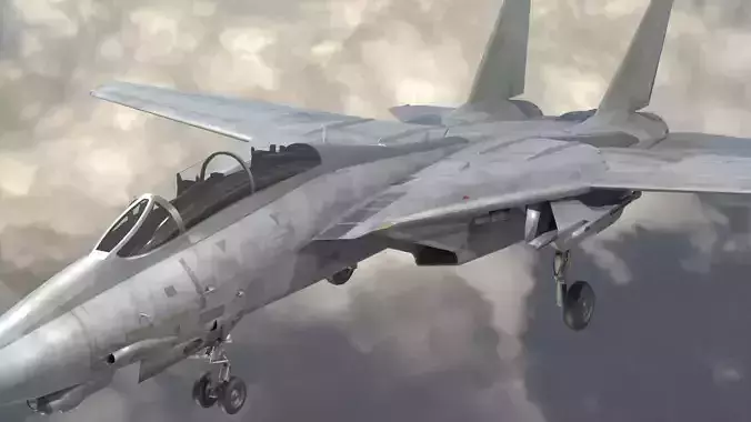 Grumman F-14 Tomcat 3D model