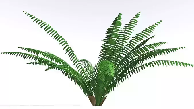 EVERYPlant Basket Fern 3 --14 Models-- 3D model
